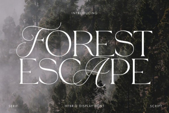 Forest Escape: The Serif Font That Elevates Campaign Design